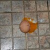 Логотип телеграм канала @idrugienepriyatnosti — Шу и другие неприятности