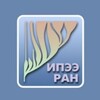 Логотип телеграм канала @ieeras — Институт проблем экологии и эволюции им А.Н.Северцова РАН