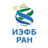 Логотип телеграм канала @iephb — ИЭФБ РАН IEPhB RAS