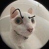 Логотип телеграм канала @ifknow — XDD