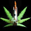 Logo of telegram channel ifoundrocket — Where’s Rocket