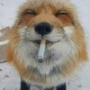 Логотип телеграм канала @ig194355 — татарский канал