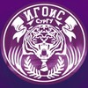 Логотип телеграм канала @igois_surgu — ИГОиС СурГУ