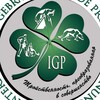 Логотип телеграм канала @igp_rules — Вопросы судейства и правил IGP