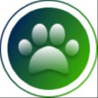 Логотип телеграм канала @igra_dogwinner — Всё про игры с собакой 🥎🐕