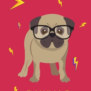 Логотип телеграм канала @igrayuchidogs — Чат-канал ПОЛЕЗНАЯ ИНФА ИграйУчи