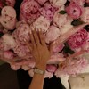 Логотип телеграм канала @iillonak — ilon’ak