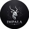 Telegram kanalining logotibi iimpaala — IMPALA