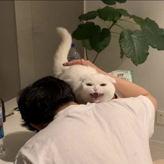 لوگوی کانال تلگرام iisr3 — ♡̷̷̷