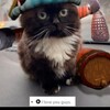 Логотип телеграм канала @ijustpulledupinabigbodytonko — Дима Передроч
