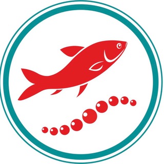 Логотип телеграм канала @ikrakam_ru — ИКРАКАМ «Камчатский океан»