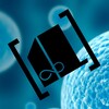Логотип телеграм канала @il_laboratory — OneLab