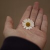 Логотип телеграм канала @il_mio_momento — Il mio momento ♡
