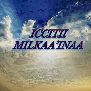 Logo saluran telegram ilaalchaa_gaarii — Iccitii Milkaa'inaa