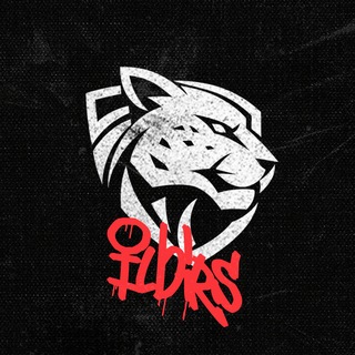 Логотип телеграм канала @ilbirs_esports — Ilbirs Esports