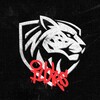 Логотип телеграм канала @ilbirs_esports — Ilbirs Esports