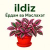Telegram channel ildiz | Ёрдам ва Маслаҳат logo