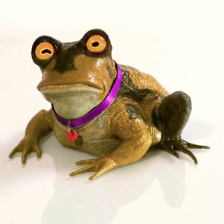 Логотип телеграм канала @ilgranderospo — il grande rospo