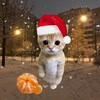 Логотип телеграм канала @ilia_bonnee — тот самый автор🩷