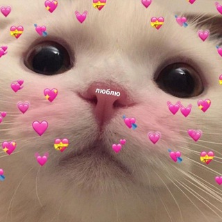 Логотип телеграм канала @ilikeyouverymuch — Самые лучшие Парные Аватарки ❤️