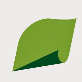 Логотип телеграм канала @ilimgroup — Группа «Илим»