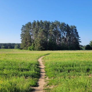 Логотип телеграм канала @ilinskoe_news — Ильинское. Новости