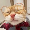 Логотип телеграм канала @illystraycreations — illystray