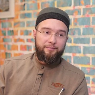 Telegram channel Ilnar Mulla logo