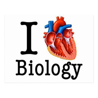 Telegram kanalining logotibi ilove_biologiya — i ♥️ biologiya ||rasmiy