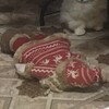 Логотип телеграм канала @iloveskybidy — Ну я как знала..