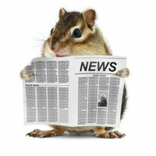 Telegram channel Il Ratto Quotidiano logo