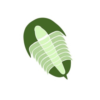 Logo del canale telegramma iltrilobitelegge - Il Trilobite legge