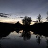 Логотип телеграм канала @ilynature — I love you, nature!