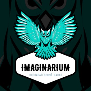 Логотип телеграм канала @imagenariums — IMAGINARIUMS