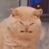 Логотип телеграм канала @imamemememachine — I'm just a meme machine