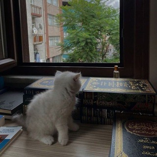 Логотип телеграм канала @imani_guul — Имани гүл✨