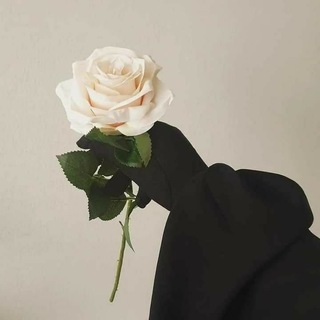 Логотип телеграм канала @imanistatys — ImaniStatys🖤
