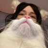 Логотип телеграм канала @imasugarfree — цирковая мышь meweweto
