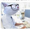 Logo of telegram channel imcatturdd — CatTurd