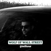 لوگوی کانال تلگرام imilionar — Wolf of wall street