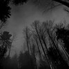 Логотип телеграм канала @imluvers — давай