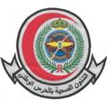Logo saluran telegram imngha — مقابلات مستشفى الحرس الوطني (الشؤون الصحية)