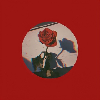 لوگوی کانال تلگرام imniley — نایلی