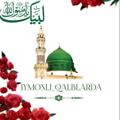 Logo saluran telegram imonli_qalblarda — IYMONLI_QALBLARDA🫀