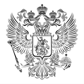Логотип телеграм канала @imperiya88 — НСО|Национал-социалистическая организация