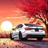 Логотип телеграм канала @importcarspro — АВТО ПОД ЗАКАЗ 🇯🇵🇨🇳🇰🇷