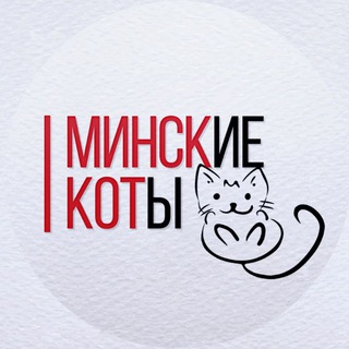 Лагатып тэлеграм-канала improvminskfd — Минские коты 😺