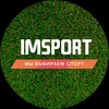 Логотип телеграм канала @imsport — IMSPORT