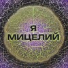 Логотип телеграм канала @imycelium — Я — МИЦЕЛИЙ