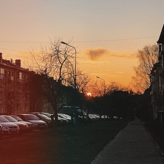 Логотип телеграм канала @in_da_padik — рупор ваших пороков